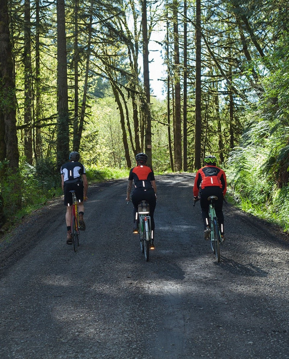 Women's Long Sleeve Alpine Jersey