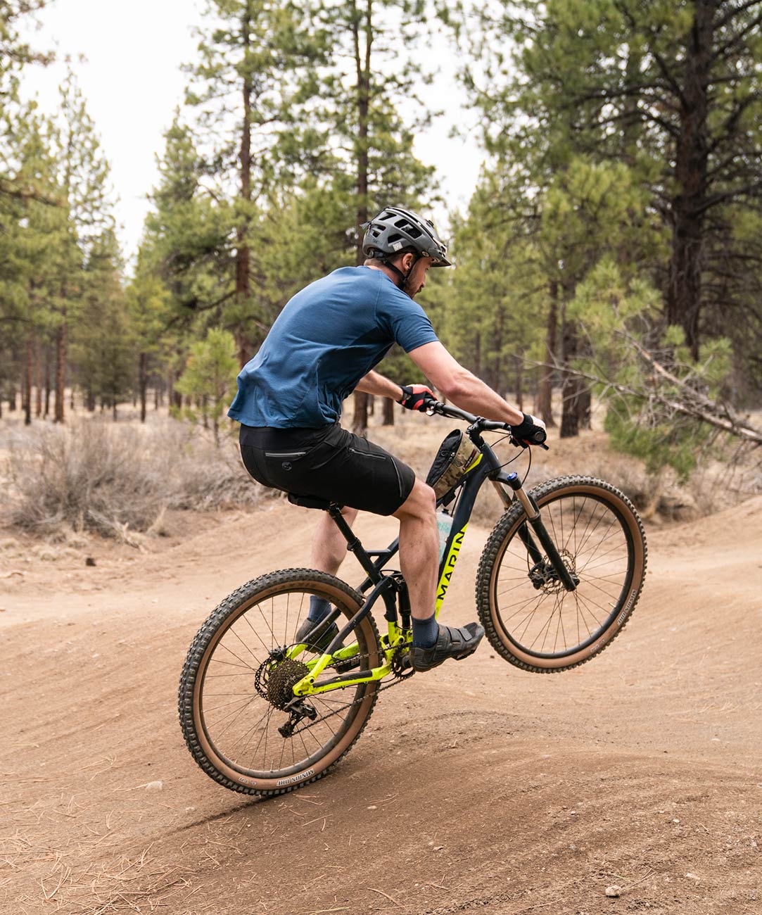 Men's Apex DWR 12" Shorts