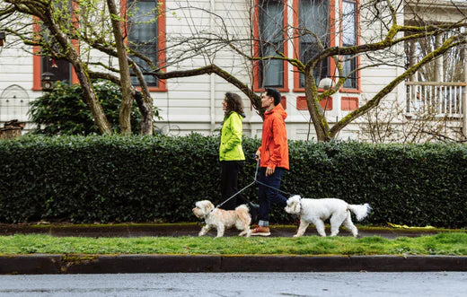 The Surprising Health Benefits of Rainy Days